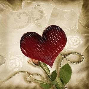 Meet your Posher, Heidi